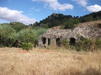 Orgale - 20120725 058.jpg